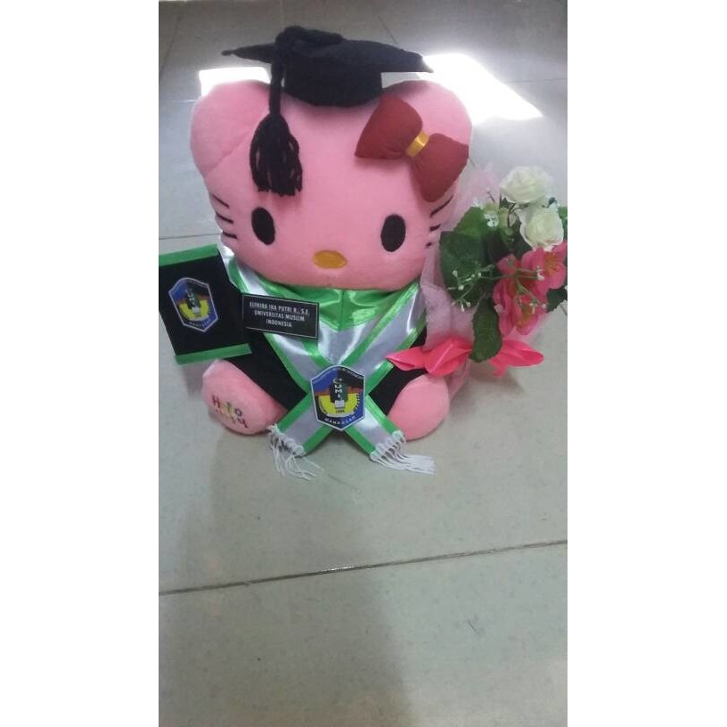 Promo Boneka wisuda hello kitty pink 25cm dengan buket bunga by LARVA