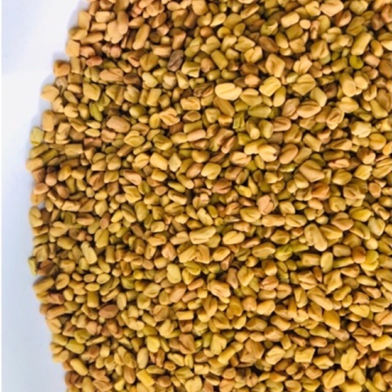 Jual Halba Biji Klabet Kelabat Hulbah Methi Fenugreek Seed Herbal