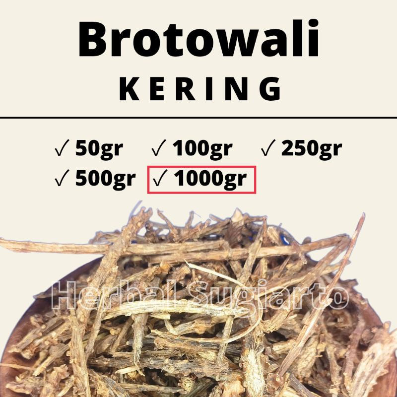 

GROSIR Brotowali Kering 1kg 1000gr 500gr 250gr 100gr 50gr Kualitas BAGUS 1kg