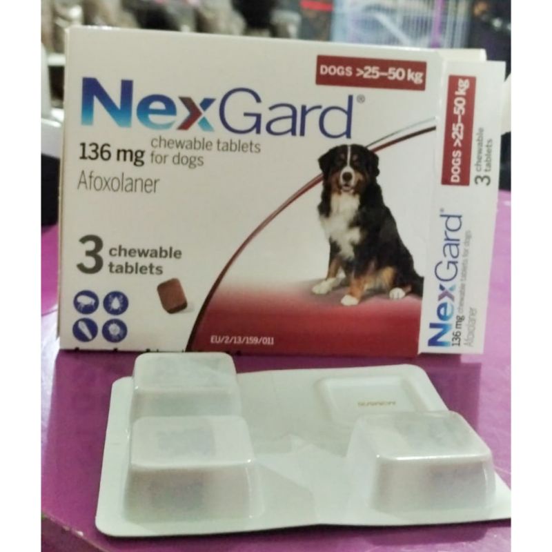 nexgard obat kutu anjing oral obat kutu oral