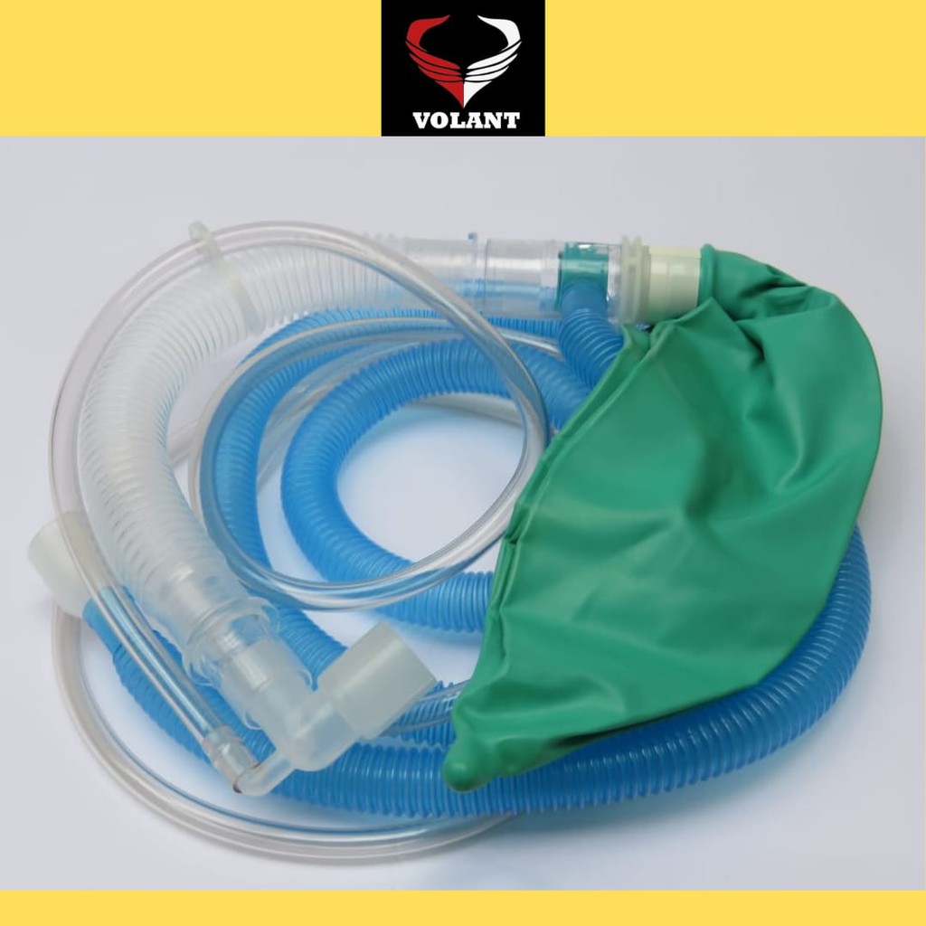 Jackson Rees King Systems, Dewasa