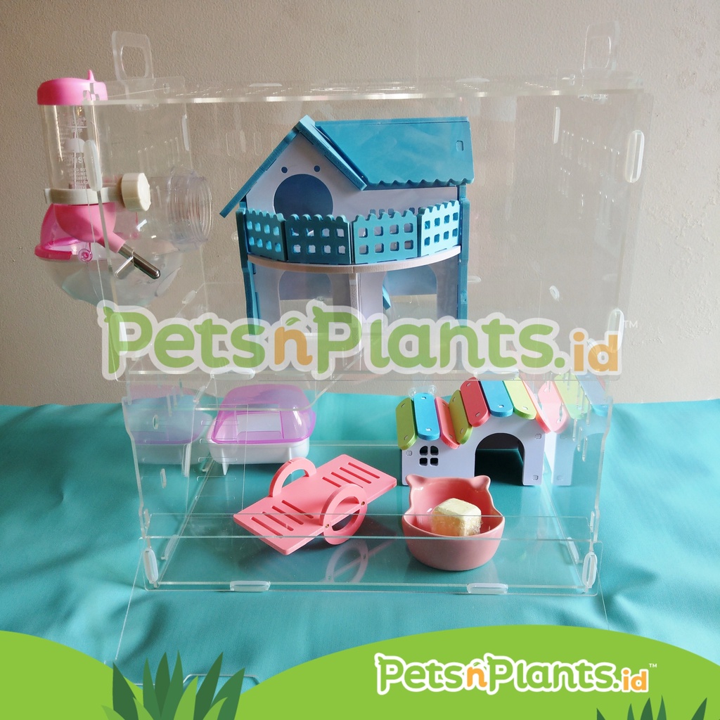 Rumah Tempat Tidur - Mainan Gigitan Kandang Hamster Ecoboard Rainbow