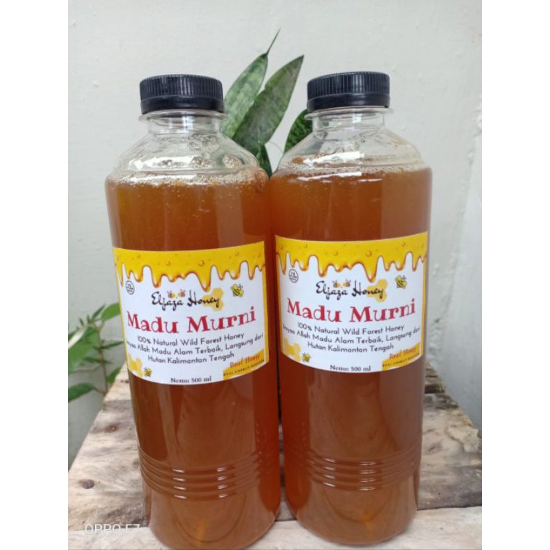 

Madu Murni Hutan Kalimantan Tengah