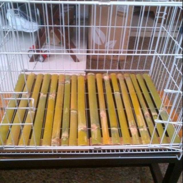 Footrest Bambu / Alas Kandang Bambu untuk Kelinci UK 30 x 40