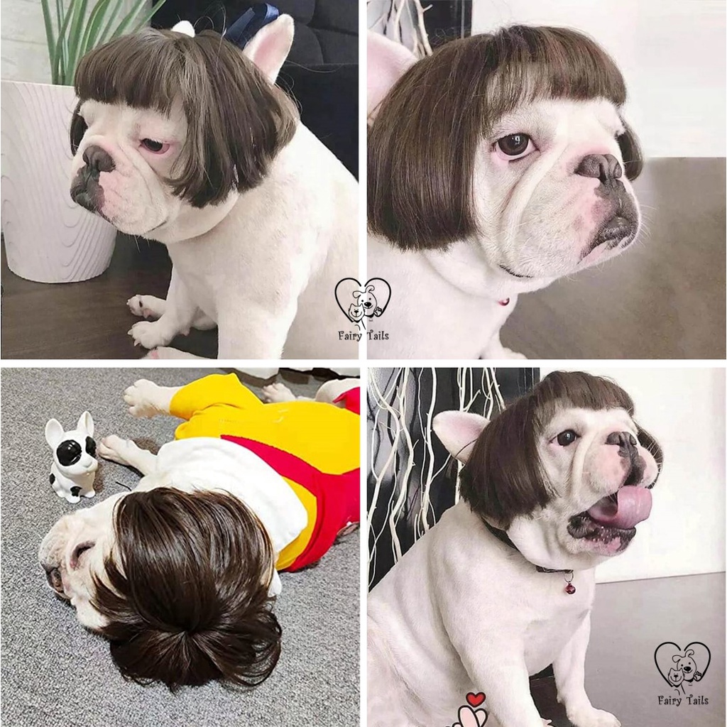 Wig Hewan Anjing Kucing/Cosplay Hewan Anjing Kucing/Aksesoris Rambut untuk Halloween Anjing Kucing/Pets Wigs