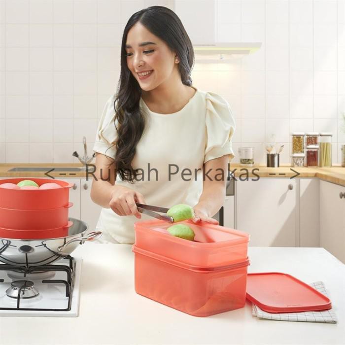 (TAPERWER ORIGINAL 100%) Tupperware MM Rectangular 2pcs PEACH TERMURAH