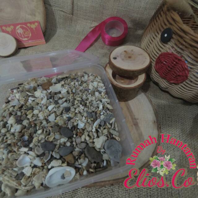 Batu laut / kerang laut/ terumbu karang /pasir laut