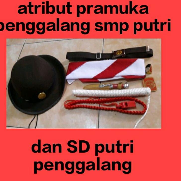 Super Delivery atribut.pramuka.penggalang.putri