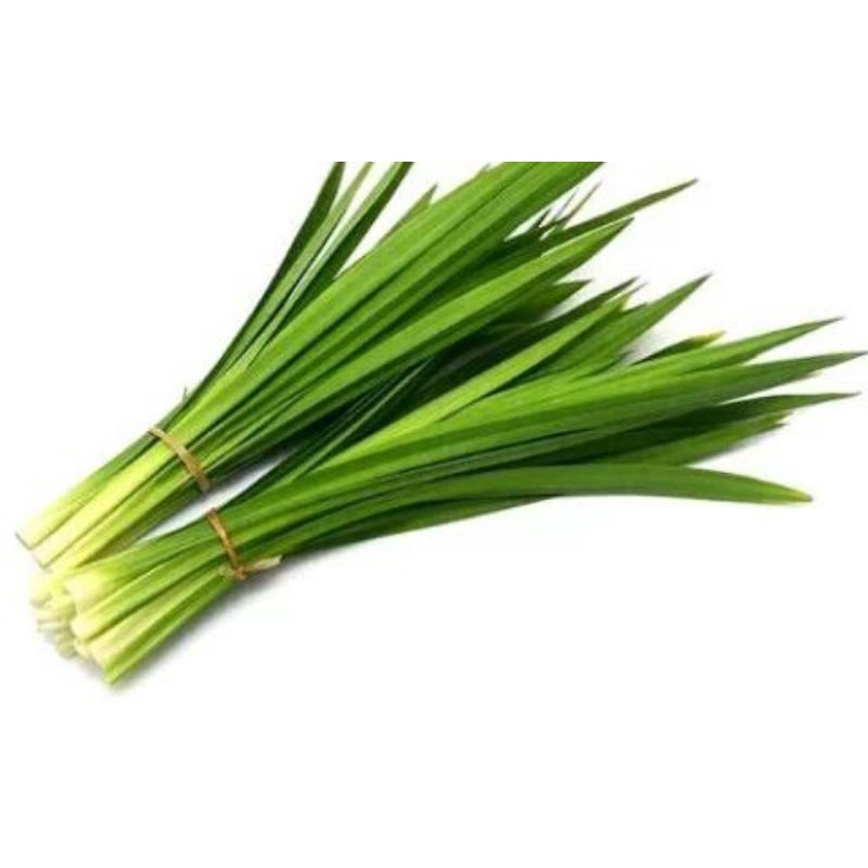 

Daun Pandan
