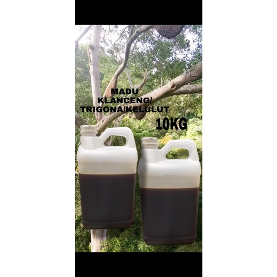 

madu ASLI klanceng madu trigona kelulut 10 kg MADU