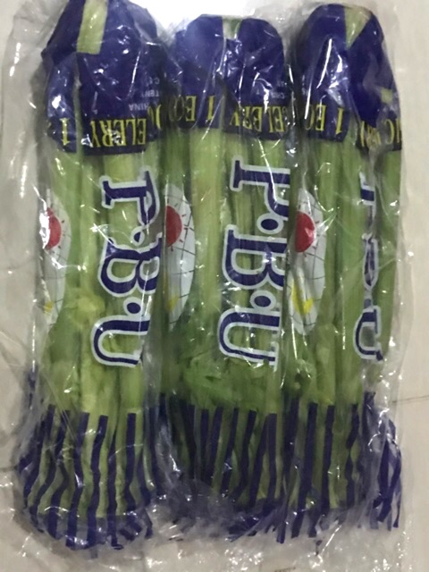 

RB FreshPAK - Seledri Stick Import 1 kg / Celery Stick / Sayur Segar / Sayuran Segar /Sayur Jus