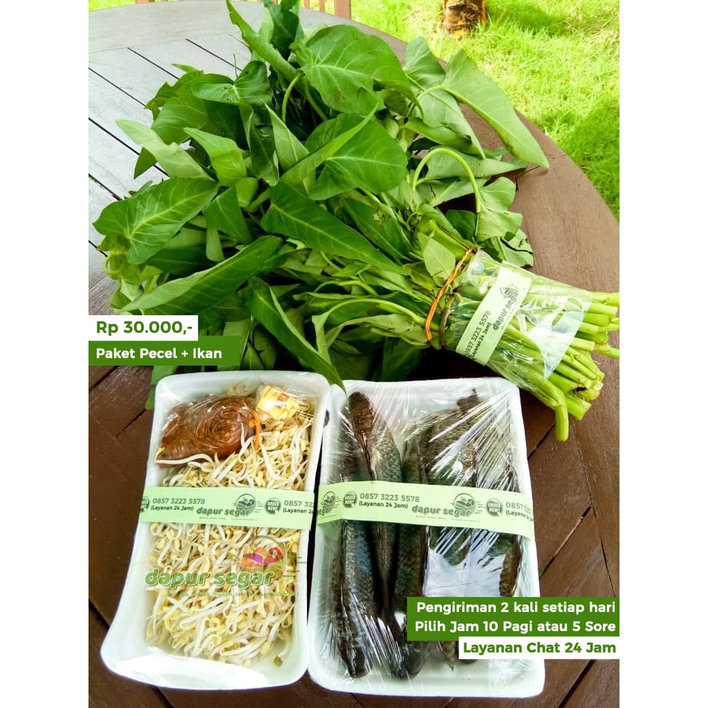 

PAKET MENU PECEL IKAN GORENG LENGKAP ENAK