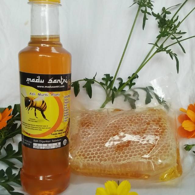 

Madu santri merupakan madu yang di peroleh dari alam, yang di proses tanpa mencampur dengan apapun