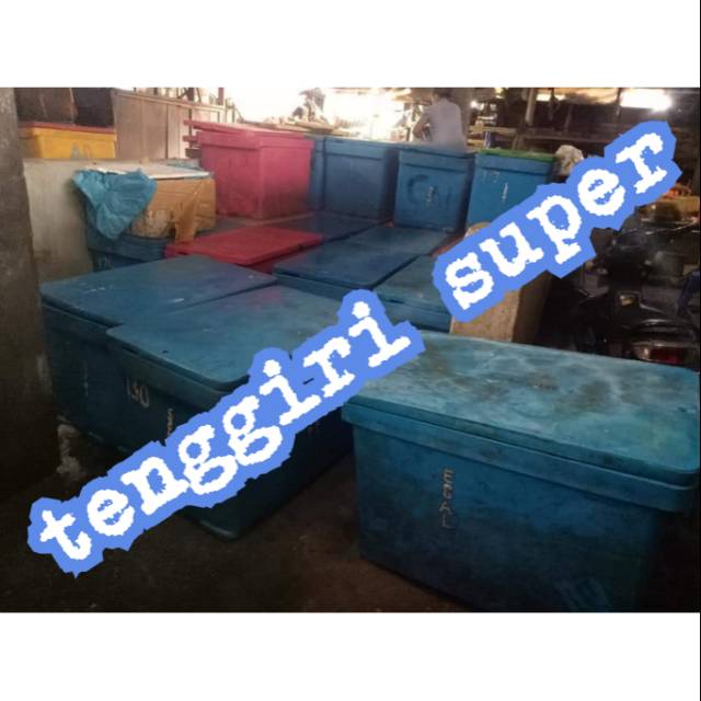 

Tenggiri super