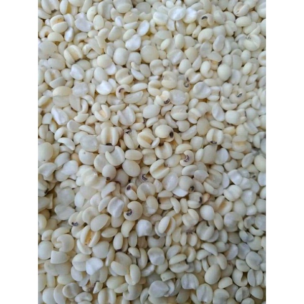 

BARLEY/BIJI JALI JALI LOKAL/HANJELI SUPER 1KG