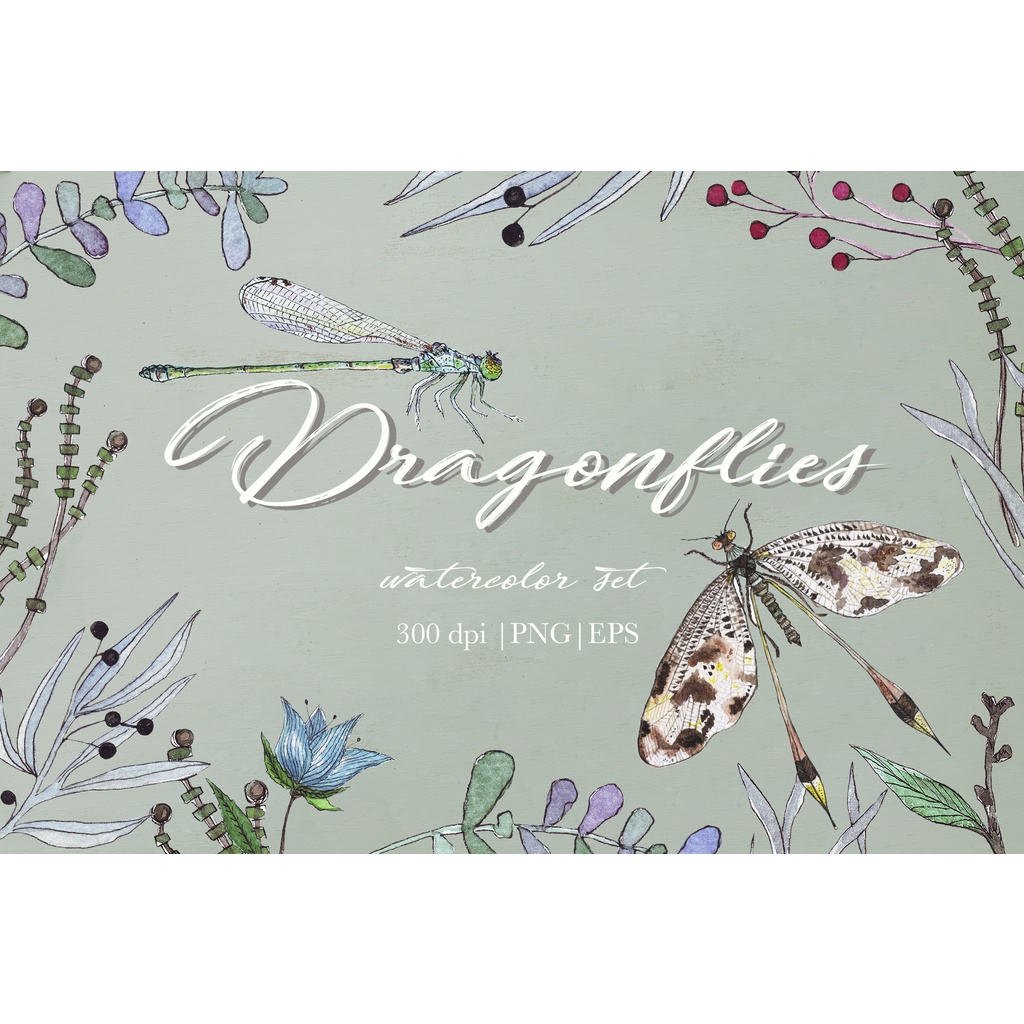 Watercolor Dragonflies Set