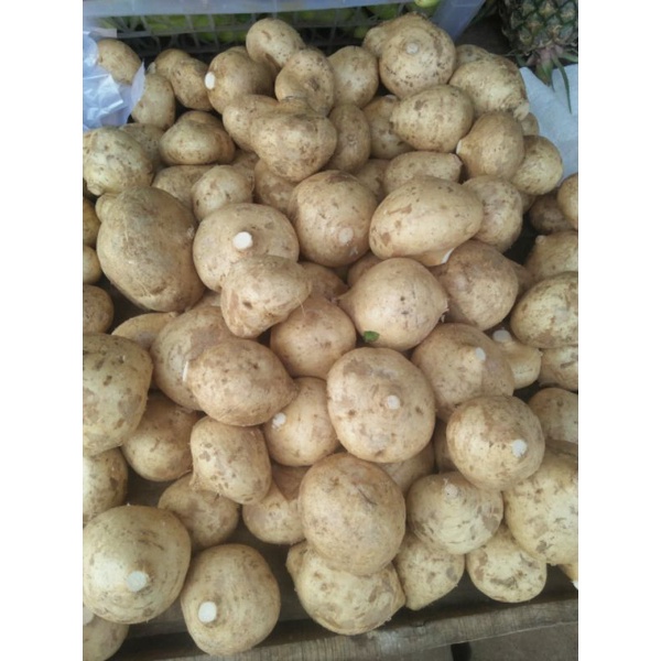 

BANGKUANG 1KG