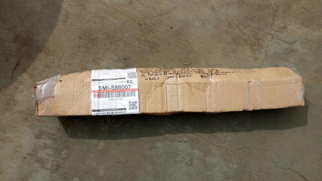 Tanaman Day Lily Kuning