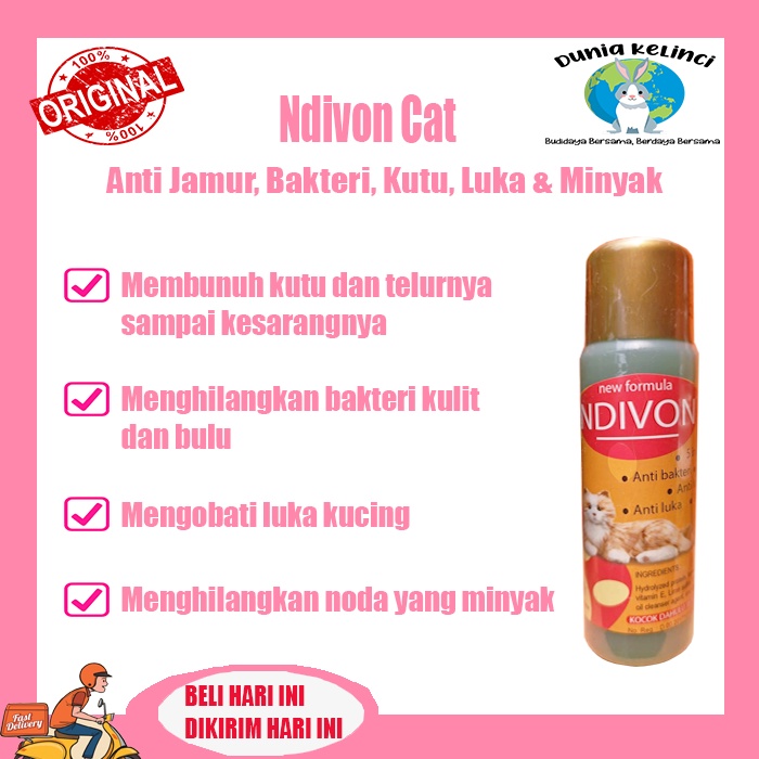 Shampo Kucing Ndivon cat 125ml anti luka dan jamur