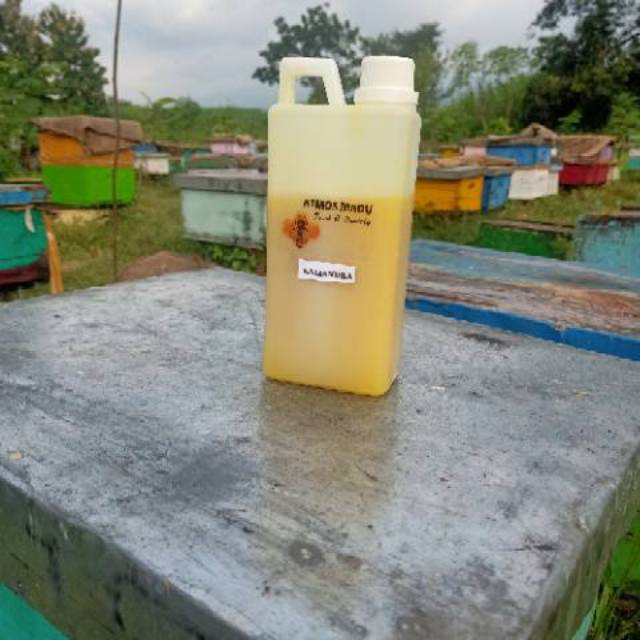 

Madu alami nektar kaliandra