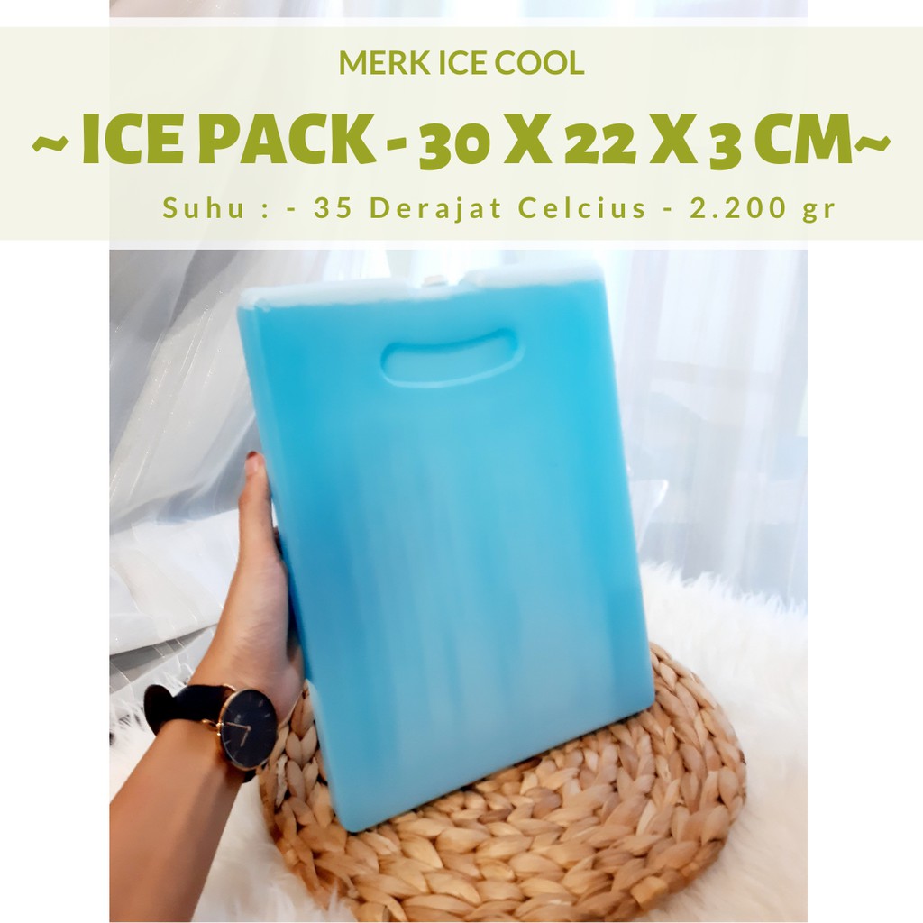 PENDINGIN ES KRIM BOX MURAH / ICE PACK FROZEN FOOD / ICE JELL PACK