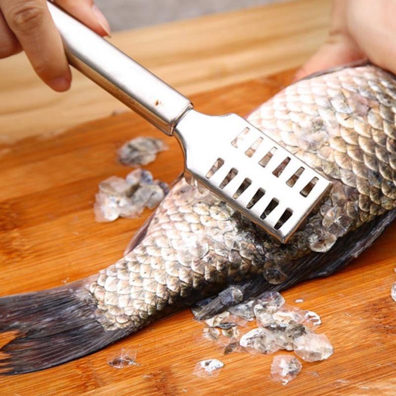 MJ88 ALAT PEMBERSIH SISIK IKAN / PENGUPAS SISIK IKAN STAINLESS STEEL SUPER MURAH