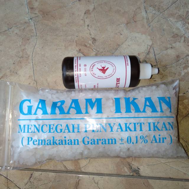 Paket karantina ikan koi dan mas koki