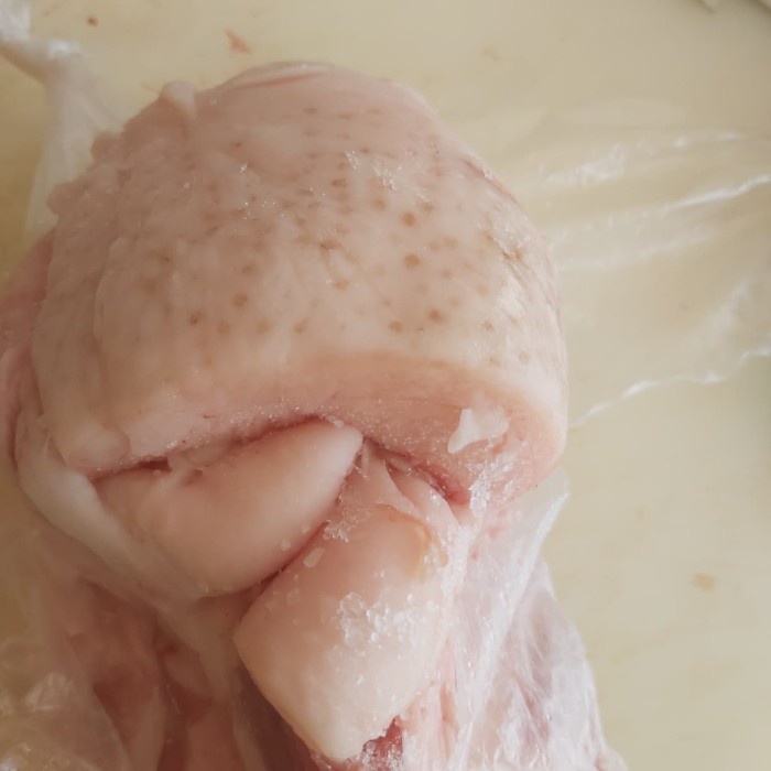 

Terlaris minyak babi padat