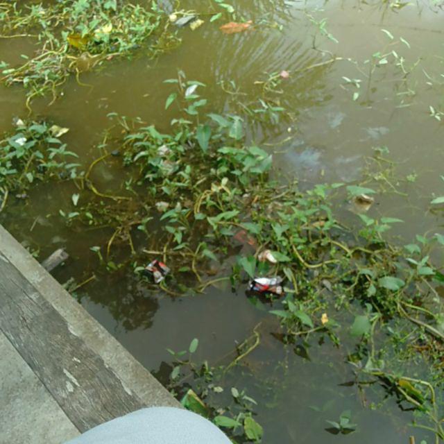 Tey-17 Batik Wanita Asj Sa Hrb026 Kenongo Kemeja Tosca Pendek