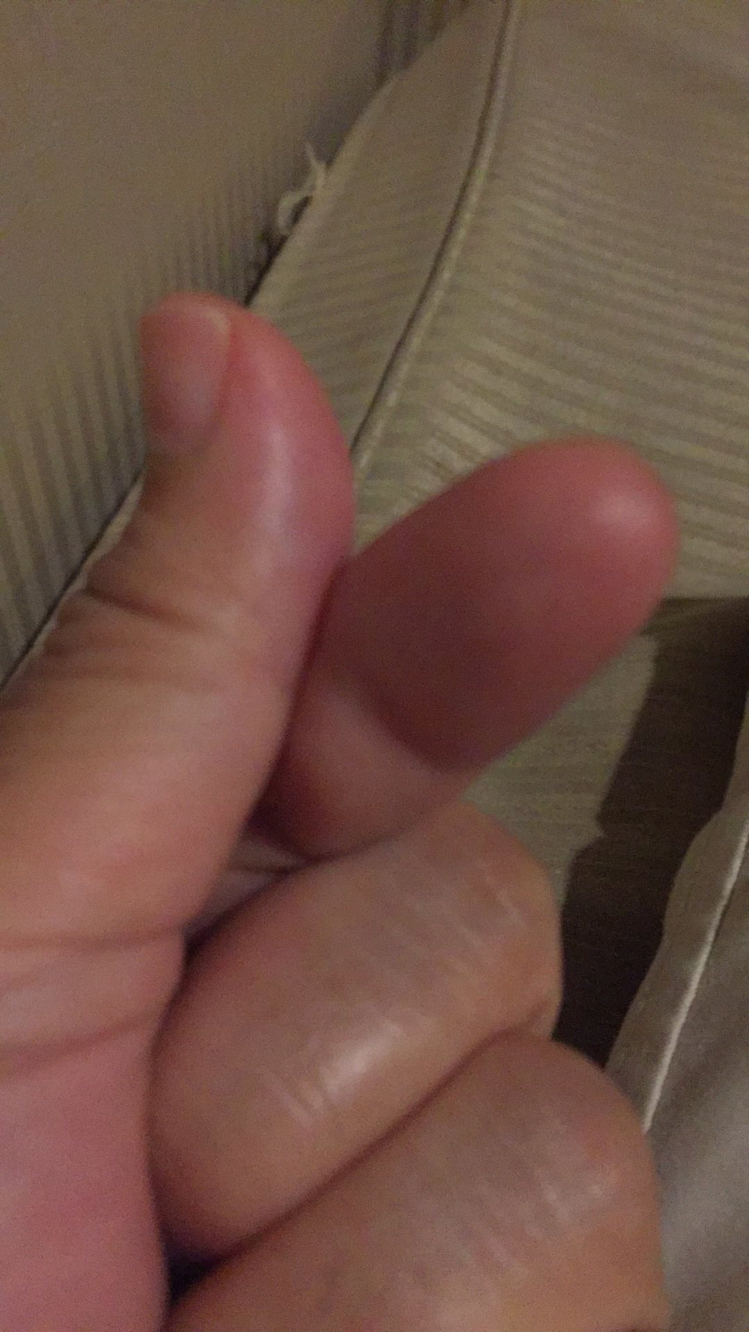 Sikat Baju Sepatu Kain Serbaguna