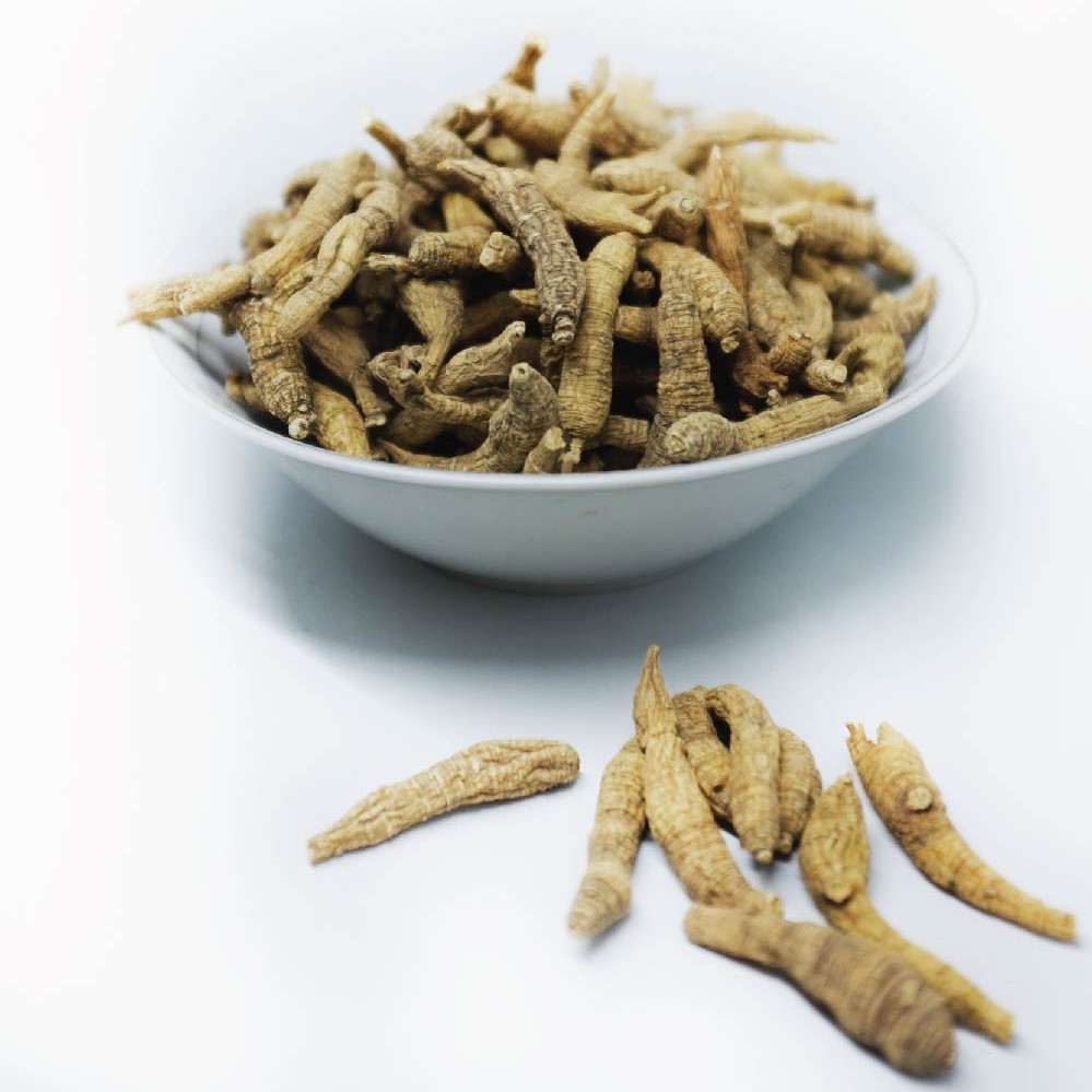

Herbaleo - Wild American Ginseng (野四身长泡), Yong Sem