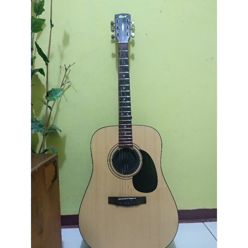 guitar akustik cort