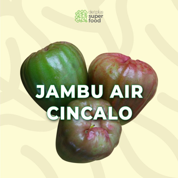 

Jambu Air Cincalo Manis 1000 gr / 1 kg Dietplus Superfood