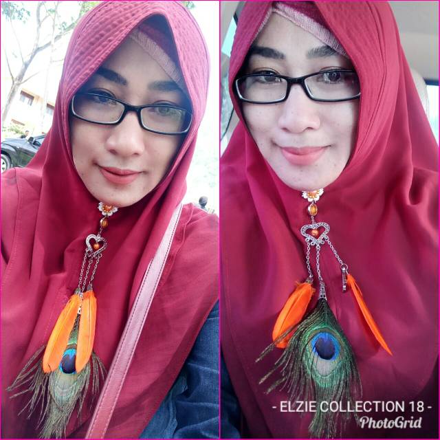 Bros juntai bulu merak