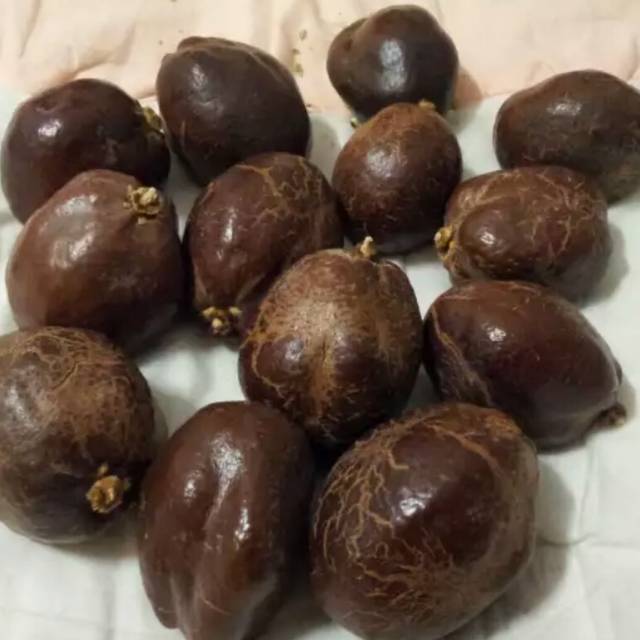 

Buah Biji Suriat