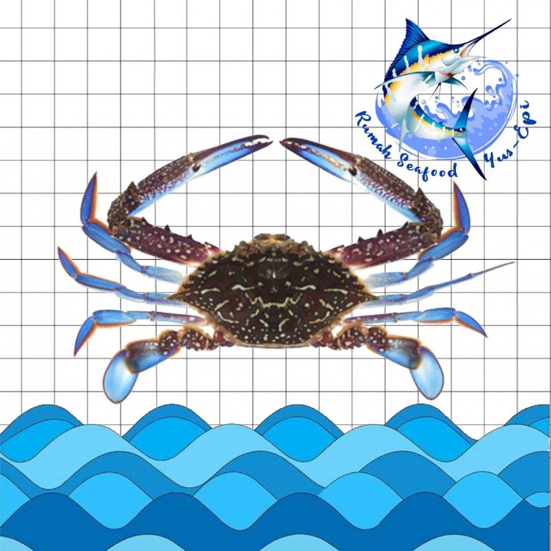 

Rajungan - rumahseafoodyusepi