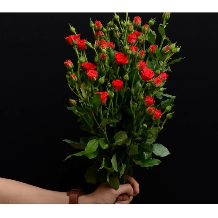 BABY ROSE asli/ MAWAR KECIL / MAWAR MURAH /BUNGA MURAH asli fresh