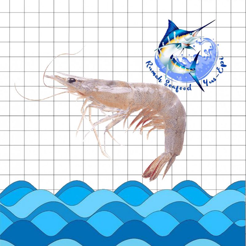 

Udang Besar - rumahseafoodyusepi
