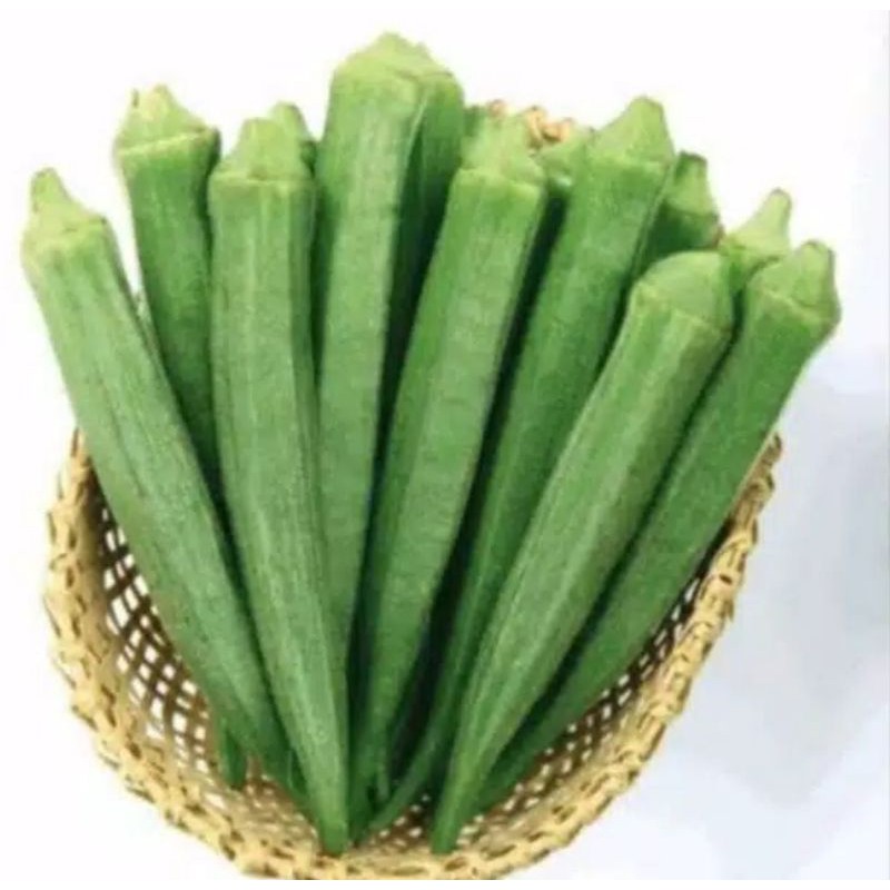 

sayur okra fresh/kg