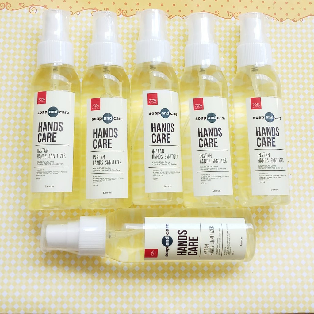 HANDS CARE SOAP AND CARE INSTAN HAND SANITIZER 100ML