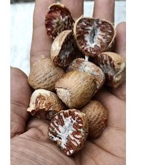 

Pinang Belah 100gr Betel Nut Biji Pinang Buah Herbal Pinang Sirih