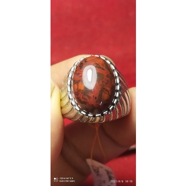 Badar besi kebumen est merah cantiknya