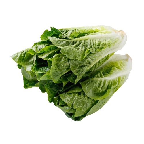 

Romaine 1kg