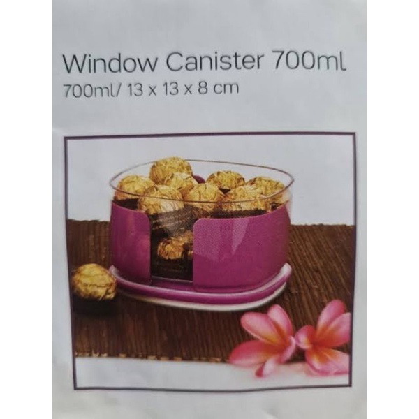 Tupperware Window Canister