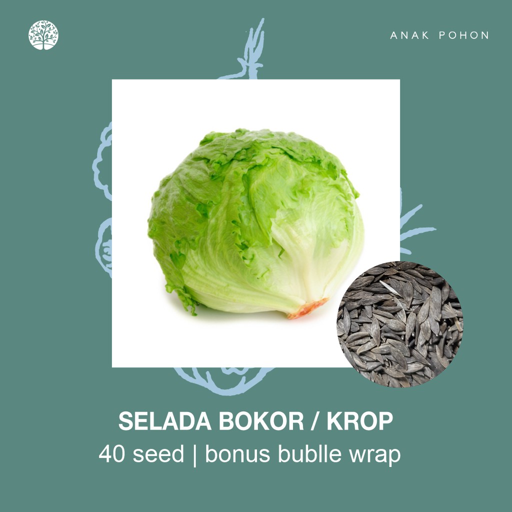 SERBA SERIBU - Benih Bibit Biji - Paket Benih Sayuran DAUN Termurah Kangkung Sawi Selada Seledri Kol-Selada Krop / Bokor