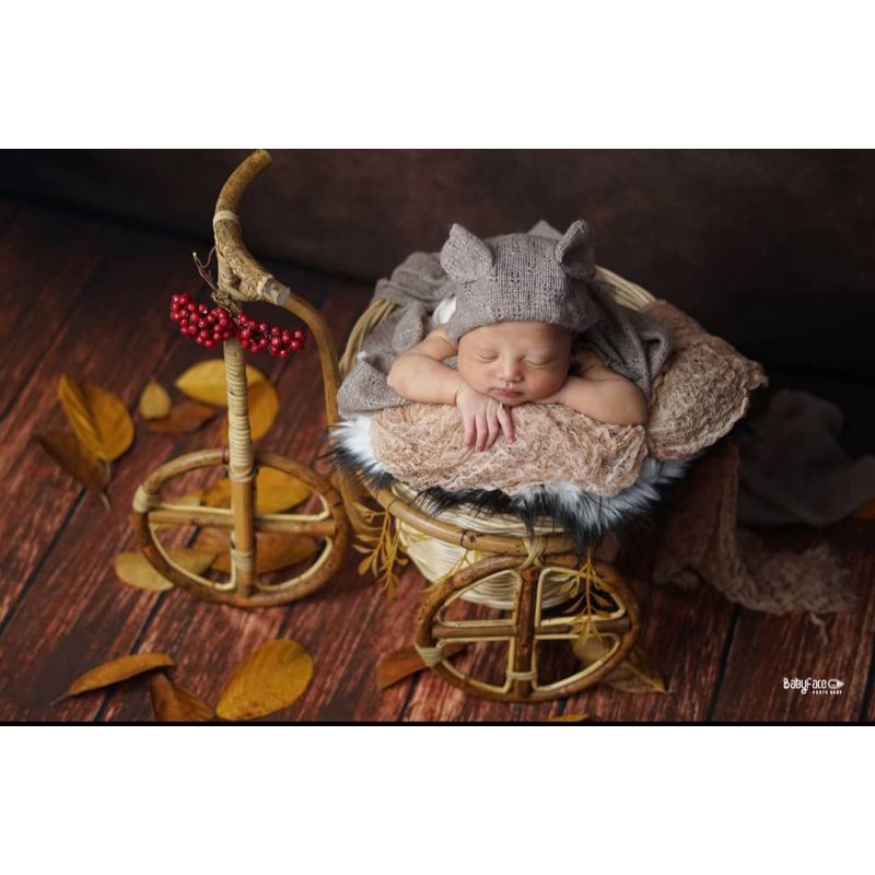 BABY PROPERTY / KERANJANG PROPERTY FOTO BAYI / ENCENG GONDOK - ROTAN / PHOTOSHOOT BABY NEW BORN