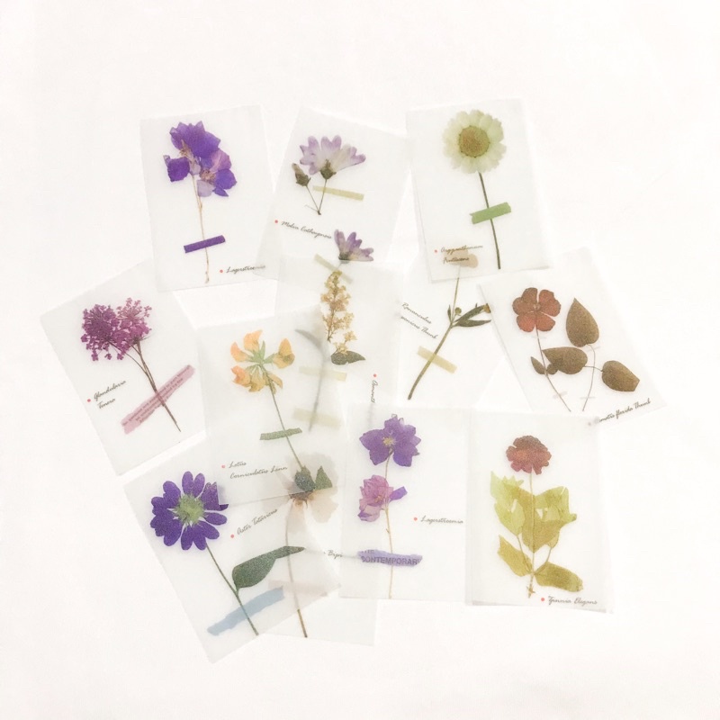 [PART 3] Vintage Flake Perintilan Journal Vintage Kertas Memo Aesthetic Deco Journal Scarpbook-Flower Trans