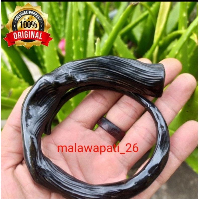 GELANG AKAR BAHAR HITAM BERSERAT SIZE TELUNJUK / GELANG AKAR BAHAR ASLI / GELANG KESEHATAN