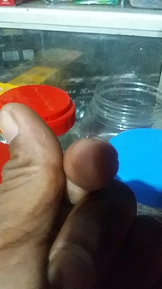 Gamis Kaos Tsabita Fashion Wanita Muslim Murah Resleting Depan Busui  Bumil Ory Batik Pekalongan