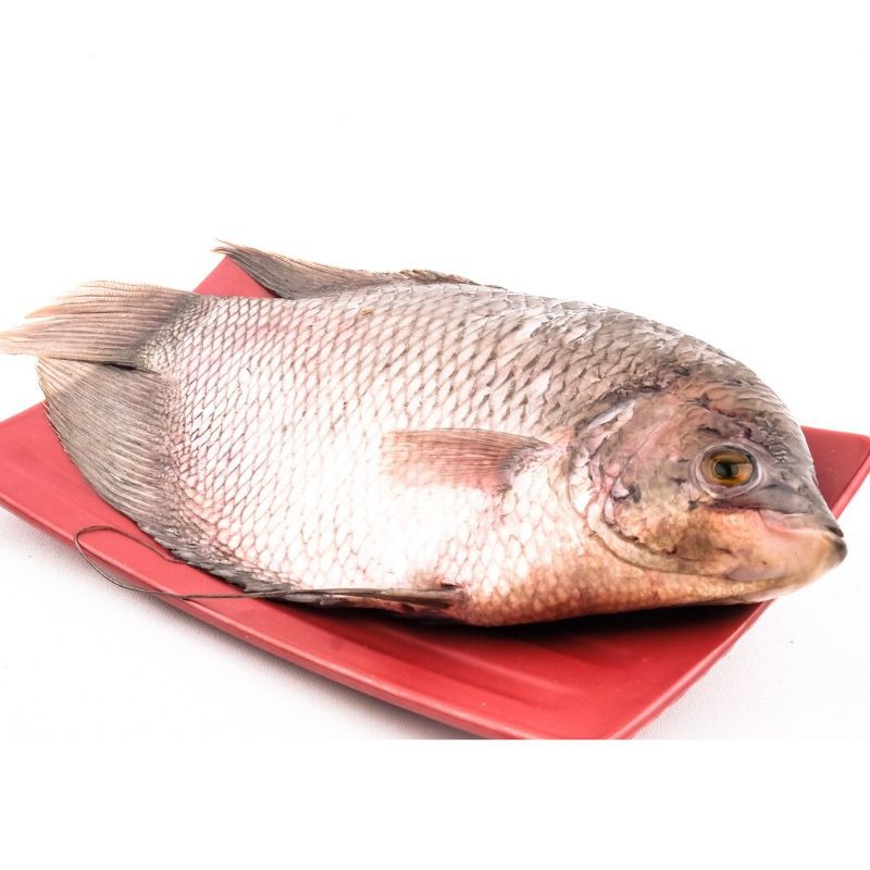 

Ikan Gurami Segar 500Gram